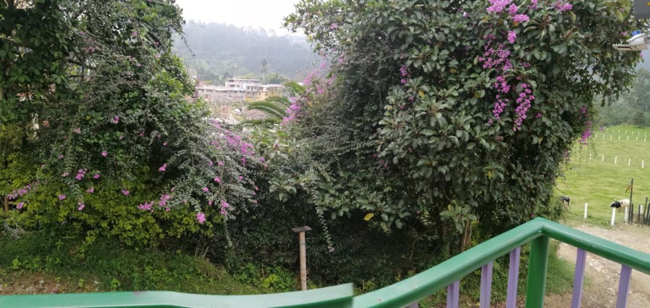 شقة سالنتو  في Coffee Flores Gabriel المظهر الخارجي الصورة
